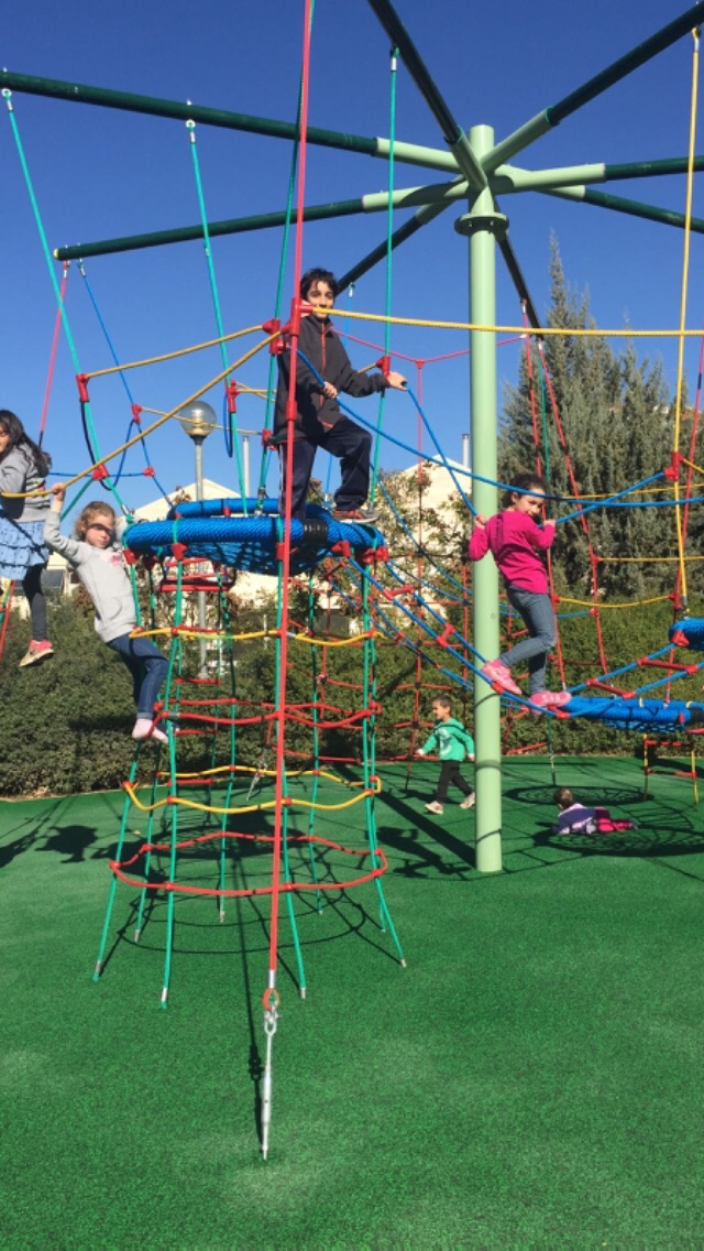 מתקן אקסטרים קיני ציפורים