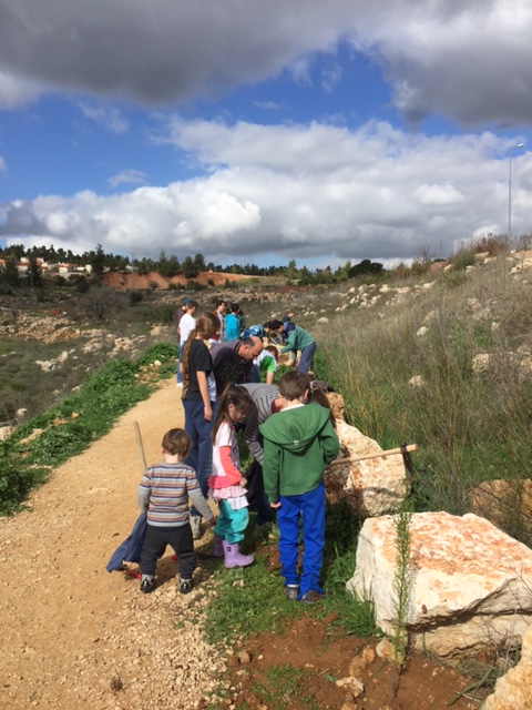 נטיעות בשביל הילדים