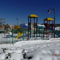 DSCF4156 (1).JPG
