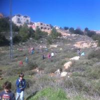 נטיעות ילדים6.jpg