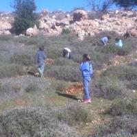 נטיעות ילדים4.jpg
