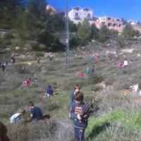 נטיעות ילדים5.jpg