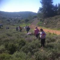 נטיעות ילדים7.jpg