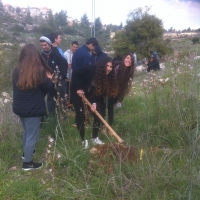 השבוע (4).jpg