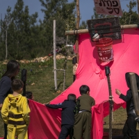 177.JPG