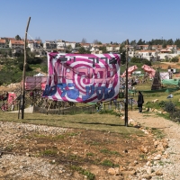 284.JPG